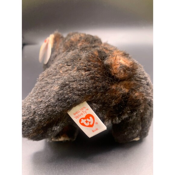 NWT TY Beanie Baby 6" KODI Alaskan Kodiak Black Bear Plush Stuffed Animal Toy - Picture 3 of 4